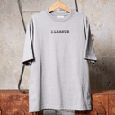 Áo thun unisex Newzy Wonder oversized 100% cotton in Cún ZLeague NZATH007