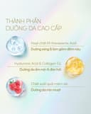 Serum Chống Nắng Anessa Dưỡng Da Nâng Tông SPF50+ 30ml (Mẫu cũ)