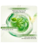 Mặt nạ Colorkey Luminous Algae Pdrn Youth-Boosting Facial Mask - Hộp 10 miếng