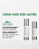 Serum VT Reedle Shot 100 50ml