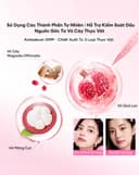 Phấn Nước Chống Nắng Colorkey SPF 50+ Bền Màu Lâu Trôi